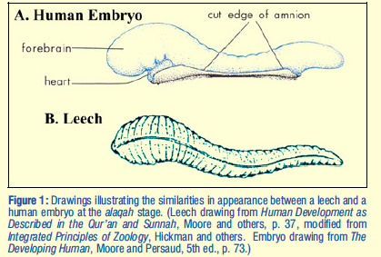 Screen Shot 2020-03-03 at 10.05.06 PM