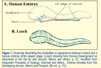 Screen Shot 2020-03-03 at 10.05.06 PM