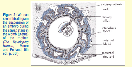 Screen Shot 2020-03-03 at 10.05.16 PM