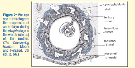 Screen Shot 2020-03-03 at 10.05.16 PM