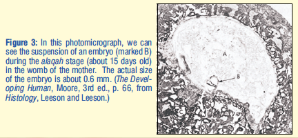 Screen Shot 2020-03-03 at 10.05.23 PM