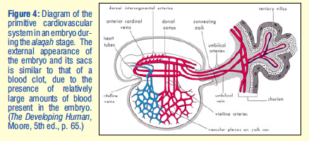 Screen Shot 2020-03-03 at 10.06.12 PM