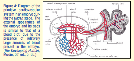 Screen Shot 2020-03-03 at 10.06.12 PM