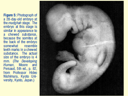 Screen Shot 2020-03-03 at 10.11.40 PM