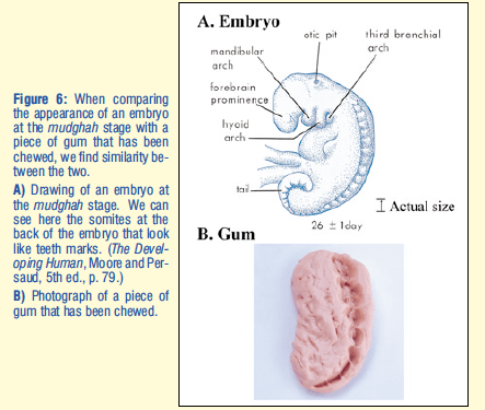 Screen Shot 2020-03-03 at 10.11.46 PM